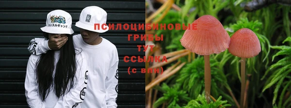 прущие крисы Бугульма