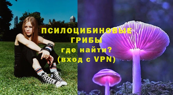 прущие крисы Бугульма