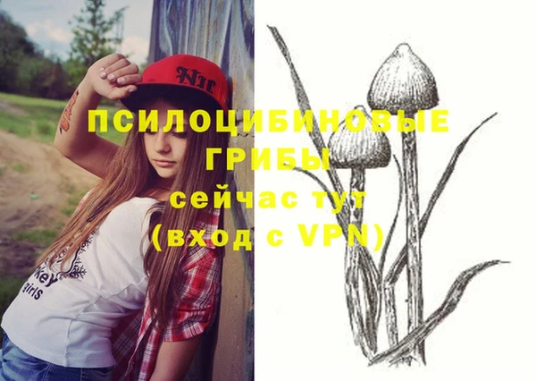 прущие крисы Бугульма