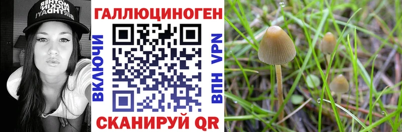 Галлюциногенные грибы мицелий  что такое наркотик  Ростов 